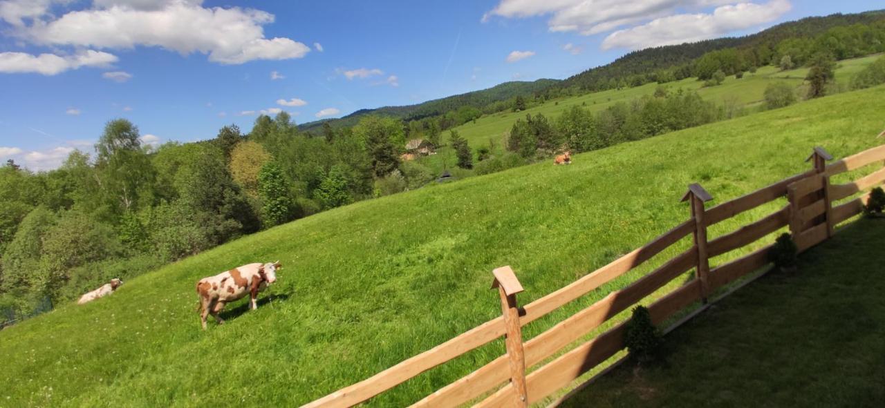 Goralskie Domki Na Podhalu - Z Jacuzzi Maniowy Kültér fotó