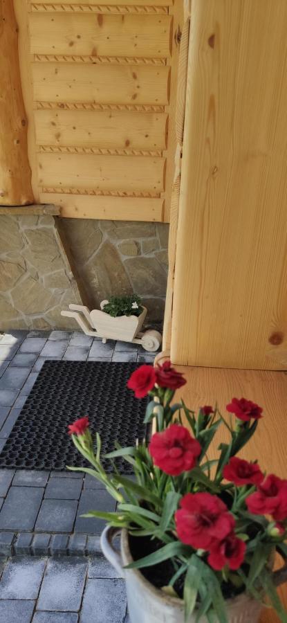 Goralskie Domki Na Podhalu - Z Jacuzzi Maniowy Kültér fotó