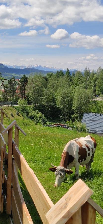 Goralskie Domki Na Podhalu - Z Jacuzzi Maniowy Kültér fotó
